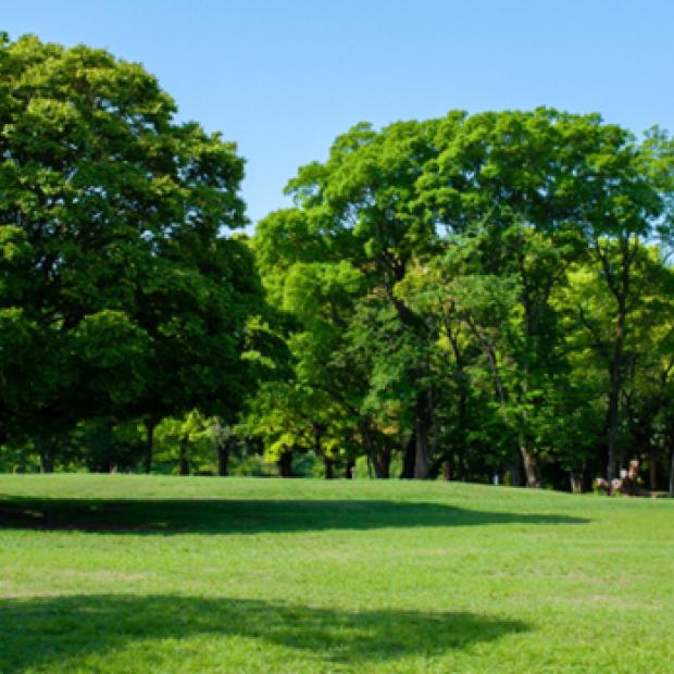 상업시설, 병원, 학교, 금융기관 접근성